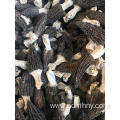 2018 Wild fresh dried morchella conica